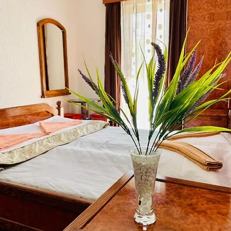 Vila Monte Konukevi *